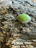 Rare Mexican Green Idocrase in Sterling Necklace